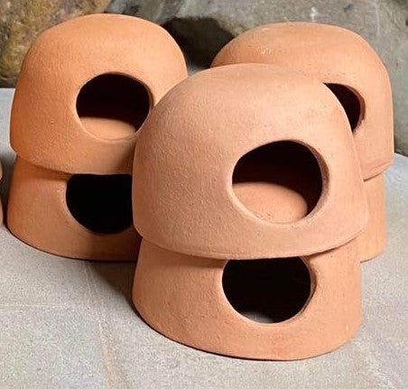 Ceramic Apisto Hut sml