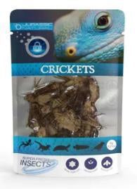 Jurassic Natural Super Fresh Crickets 6g