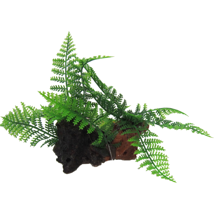 Ornament Amazon Jungle Twin Ferns On Log 12cm