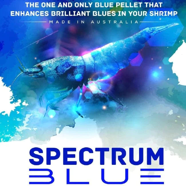 SAS Spectrum Blue 30g