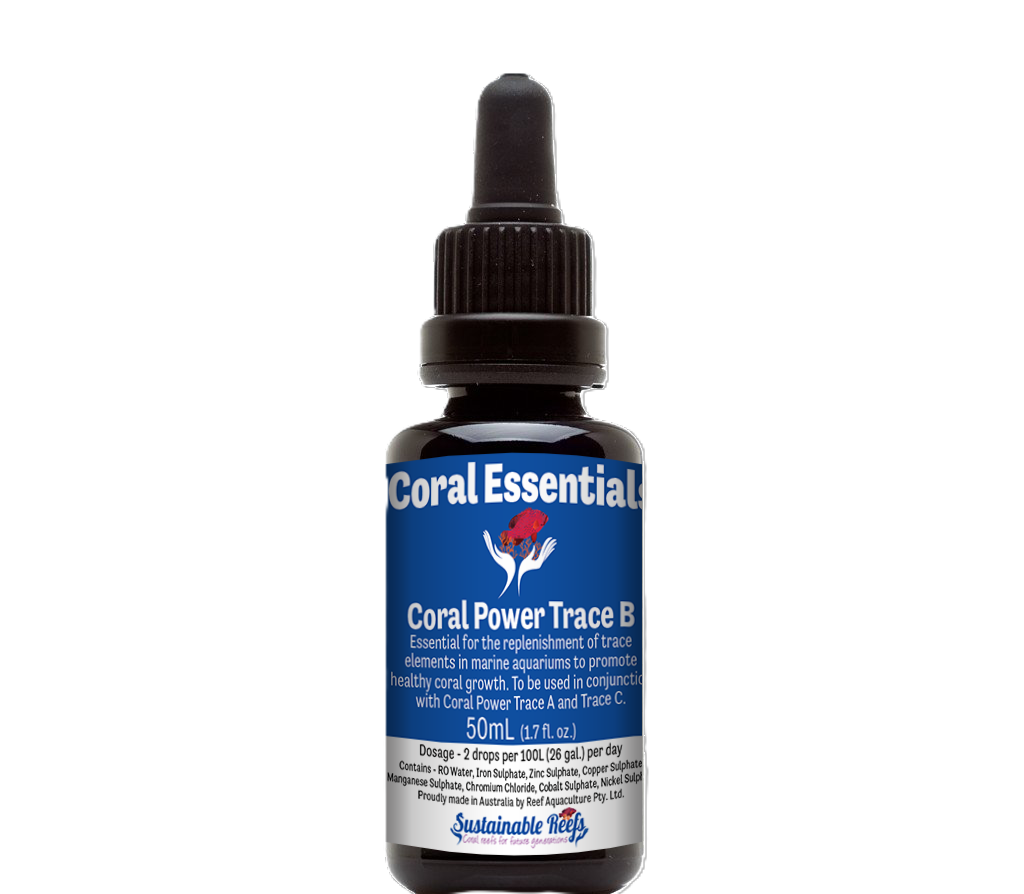 Coral Essentials Coral Power Trace B