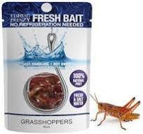 Fishing Frenzy Grasshoppers 8pcs