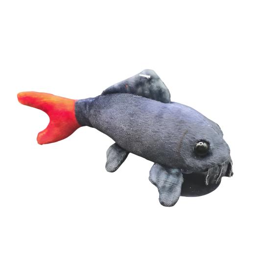 Plushies Red Tail Shark – The Aquarium Centre