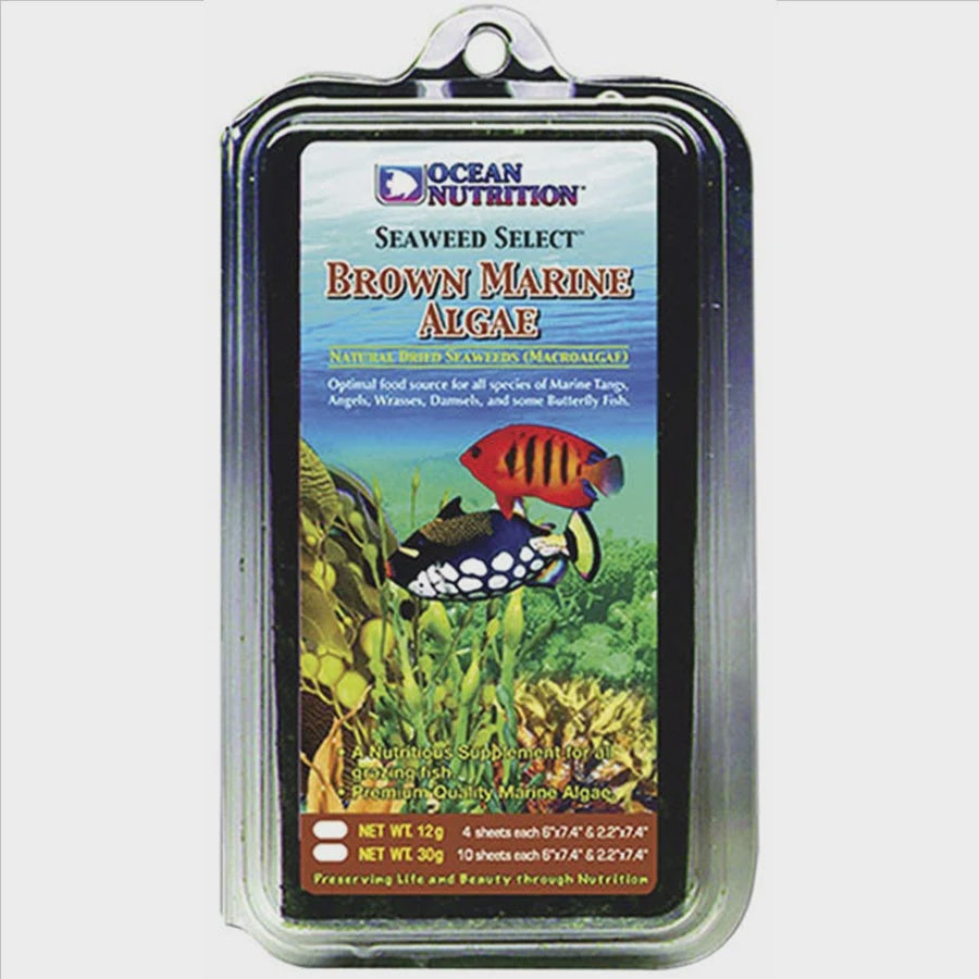 Ocean Nutrition Brown Marine Algae Seaweed 30g