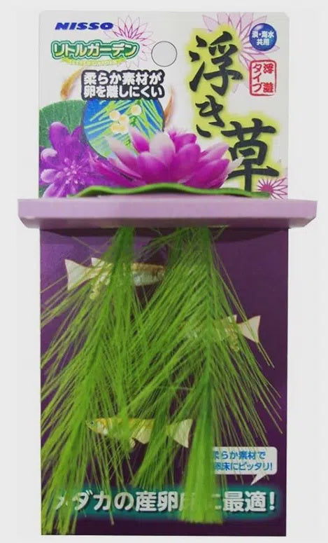 Nisso Floating Lily