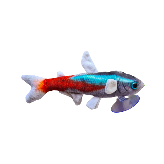 Plushies Tetra Neon (Night)