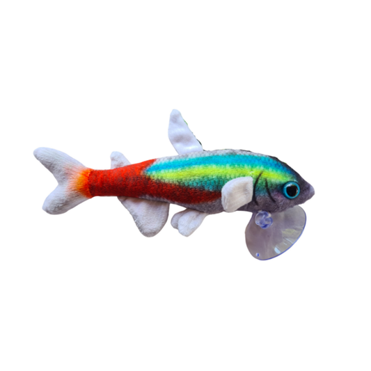 Plushies Tetra Neon (Day)