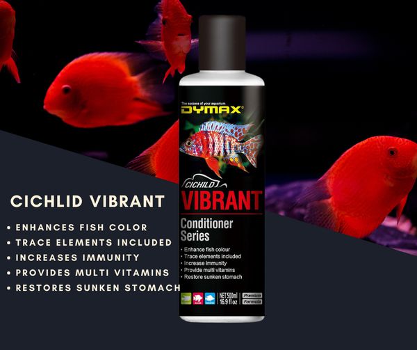 VIBRANT 500ML