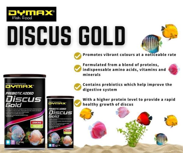 DYMAX Discus Gold Sinking Pellet