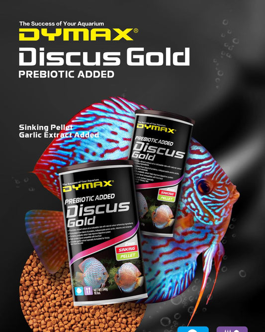 DYMAX Discus Gold Sinking Pellet
