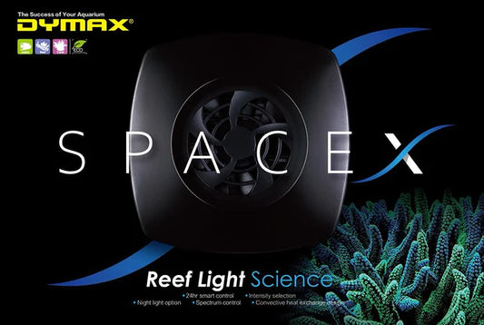 SPACEX LIGHT - MARINE