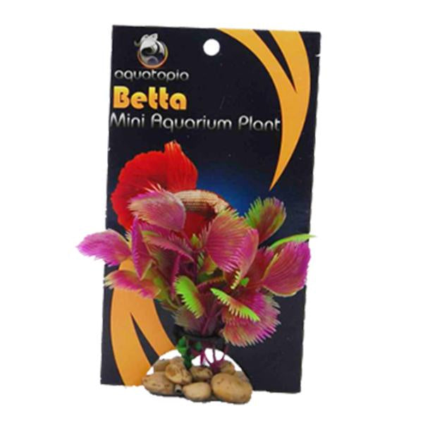 Aquatopia Betta Plant Purple Green