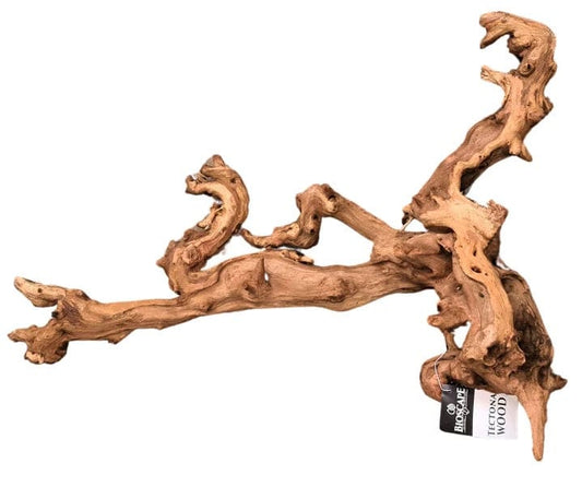 Driftwood Tectona Coral