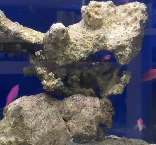 Base Rock p/kg                  Pick up in store only