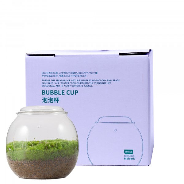 Biolark Bubble Cup Terrarium