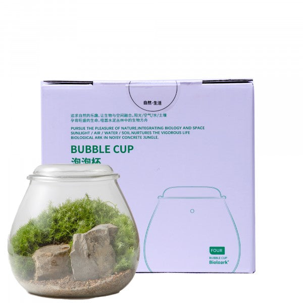 Biolark Bubble Cup Terrarium