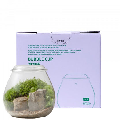 Biolark Bubble Cup Terrarium