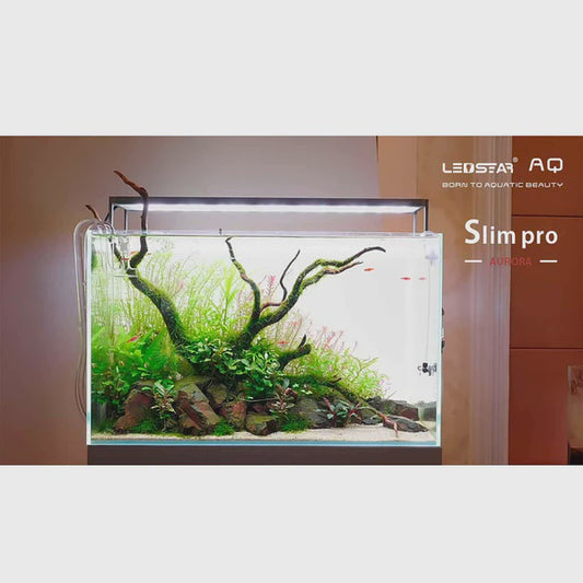 Ledstar AQ-SP30 WRGB SlimPro Smart Light 30cm