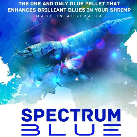 SAS Spectrum Blue 30g