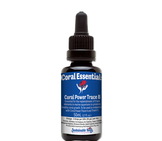 Coral Essentials Coral Power Trace B