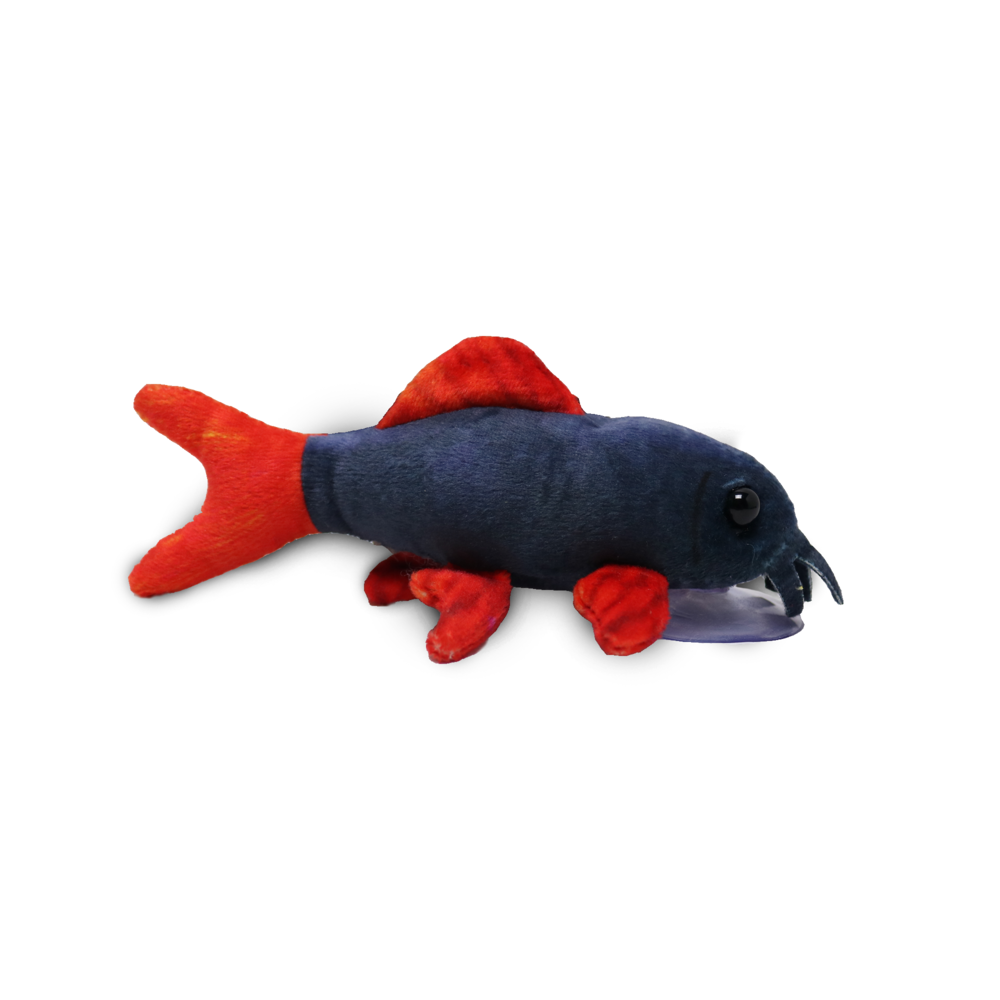 Plushies Rainbow Shark