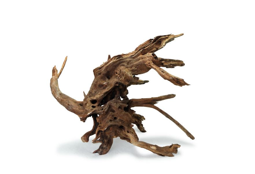WYLD Scapes Pacific Wood - XS