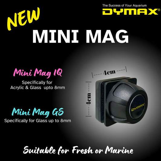 Dymax Mini Mag IQ