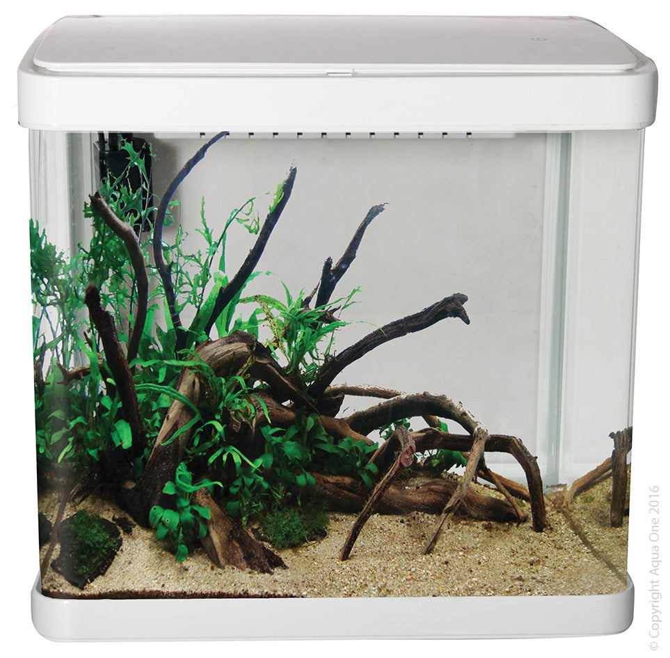 LifeStyle 21 Complete Glass Aquarium 32cm 21L