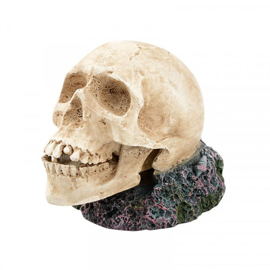 Ornament Bubbler Large Human Skull