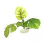 Ornament Betta Hammock  Green Plant 10cm