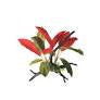 Ornament Crimson Leaf Burst on Branch 30cm