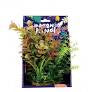 Ornament  Amazon Jungle Mixed Ludwigia Display 20cm