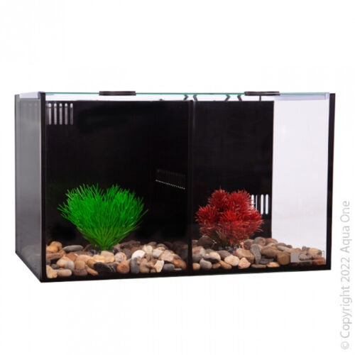 Tank Betta Condo Duo 40x24x24cm